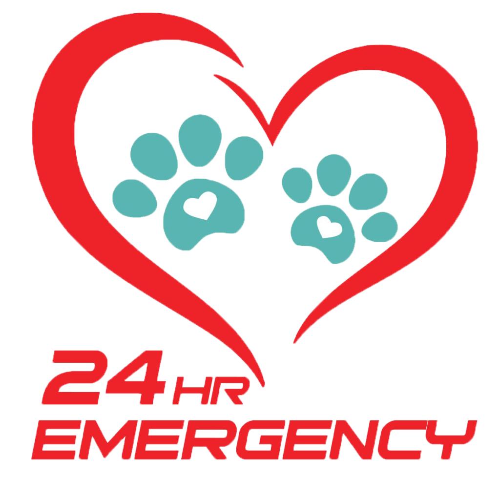 Bệnh Viện Thú Y Bảo Minh Châu